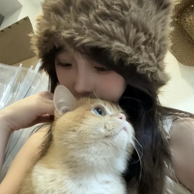 别墅与客人 海报